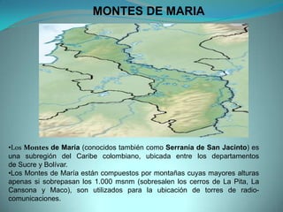 MONTES DE MARIA
•Los Montes de María (conocidos también como Serranía de San Jacinto) es
una subregión del Caribe colombiano, ubicada entre los departamentos
de Sucre y Bolívar.
•Los Montes de María están compuestos por montañas cuyas mayores alturas
apenas si sobrepasan los 1.000 msnm (sobresalen los cerros de La Pita, La
Cansona y Maco), son utilizados para la ubicación de torres de radio-
comunicaciones.
 