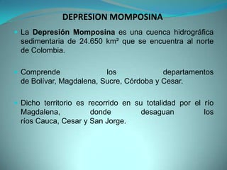 DEPRESION MOMPOSINA
 La Depresión Momposina es una cuenca hidrográfica
sedimentaria de 24.650 km² que se encuentra al norte
de Colombia.
 Comprende los departamentos
de Bolívar, Magdalena, Sucre, Córdoba y Cesar.
 Dicho territorio es recorrido en su totalidad por el río
Magdalena, donde desaguan los
ríos Cauca, Cesar y San Jorge.
 