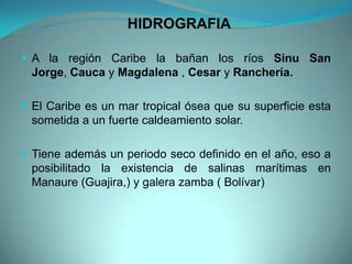 HIDROGRAFIA
 A la región Caribe la bañan los ríos Sinu San
Jorge, Cauca y Magdalena , Cesar y Ranchería.
 El Caribe es un mar tropical ósea que su superficie esta
sometida a un fuerte caldeamiento solar.
 Tiene además un periodo seco definido en el año, eso a
posibilitado la existencia de salinas marítimas en
Manaure (Guajira,) y galera zamba ( Bolívar)
 