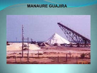 MANAURE GUAJIRA
 