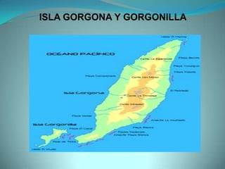 ISLA GORGONA Y GORGONILLA
 