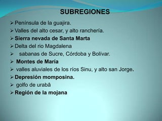 SUBREGIONES
 Península de la guajira.
 Valles del alto cesar, y alto ranchería.
 Sierra nevada de Santa Marta
 Delta del rio Magdalena
 sabanas de Sucre, Córdoba y Bolívar.
 Montes de María
 valles aluviales de los ríos Sinu, y alto san Jorge.
 Depresión momposina.
 golfo de urabâ
 Región de la mojana
 