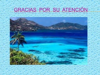 GRACIAS POR SU ATENCIÓN
 