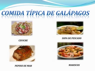 SOPA DE PESCADO
  CEVICHE




PEPINO DE MAR        MARISCOS
 