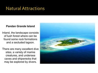 Pandan Grande Island 
Inland, the landscape consists 
of lush forest where can be 
found some rock formations 
and a secluded lagoon. 
There are many excellent dive 
sites, a variety of marine 
creatures, and undersea 
caves and shipwrecks that 
may be explored by divers. 
 