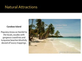 Carabao Island 
Populary know as Hambil to 
the locals, exudes with 
gorgeous coastlines and 
turquoise beaches blissfully 
devoid of luxury trappings. 
 