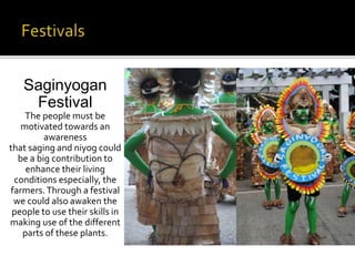 Saginyogan 
Festival 
The people must be 
motivated towards an 
awareness 
that saging and niyog could 
be a big contribution to 
enhance their living 
conditions especially, the 
farmers. Through a festival 
we could also awaken the 
people to use their skills in 
making use of the different 
parts of these plants. 
 