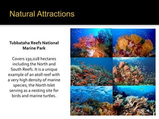 Tubbataha Reefs National 
Marine Park 
Covers 130,028 hectares 
including the North and 
South Reefs. It is a unique 
example of an atoll reef with 
a very high density of marine 
species; the North Islet 
serving as a nesting site for 
birds and marine turtles. 
 