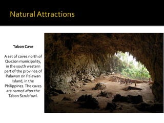 Tabon Cave 
A set of caves north of 
Quezon municipality, 
in the south western 
part of the province of 
Palawan on Palawan 
Island, in the 
Philippines. The caves 
are named after the 
Tabon Scrubfowl. 
 