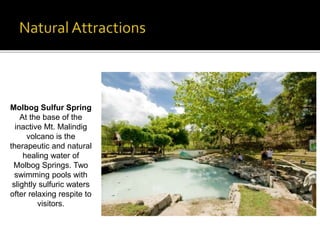 Molbog Sulfur Spring 
At the base of the 
inactive Mt. Malindig 
volcano is the 
therapeutic and natural 
healing water of 
Molbog Springs. Two 
swimming pools with 
slightly sulfuric waters 
ofter relaxing respite to 
visitors. 
 