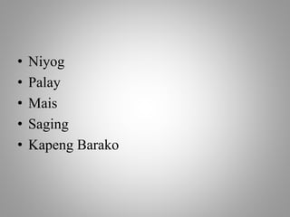 • Niyog
• Palay
• Mais
• Saging
• Kapeng Barako
 