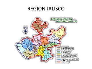 REGION JALISCO
 