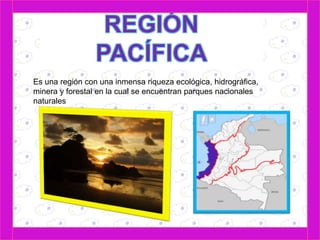 Es una región con una inmensa riqueza ecológica, hidrográfica, 
minera y forestal en la cual se encuentran parques nacionales 
naturales 
 