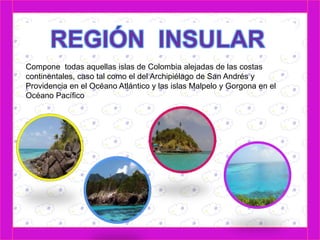 Compone todas aquellas islas de Colombia alejadas de las costas 
continentales, caso tal como el del Archipiélago de San Andrés y 
Providencia en el Océano Atlántico y las islas Malpelo y Gorgona en el 
Océano Pacífico 
 