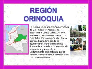 La Orinoquía es una región geográfica 
de Colombia y Venezuela, la 
determina el cauce del río Orinoco, 
también conocida como Llanos 
Orientales. Es una región de intensa 
actividad ganadera donde se 
escenificaron importantes luchas 
durante la época de la Independencia 
colombiana y venezolana. 
Culturalmente está habitada por el 
llanero, individuo común también a los 
Llanos venezolanos. 
