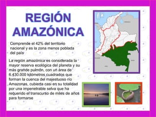 Comprende el 42% del territorio 
nacional y es la zona menos poblada 
del país 
La región amazónica es considerada la 
mayor reserva ecológica del planeta y su 
más grande pulmón, con un área de 
6.430.000 kilómetros cuadrados que 
forman la cuenca del majestuoso río 
Amazonas, cubierta casi en su totalidad 
por una impenetrable selva que ha 
requerido el transcurso de miles de años 
para formarse 
 