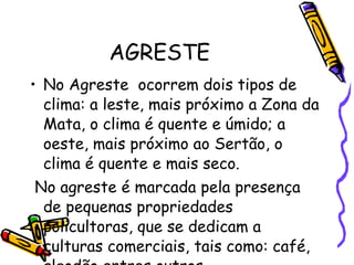 AGRESTE No Agreste  ocorrem dois tipos de clima: a leste, mais próximo a Zona da Mata, o clima é quente e úmido; a oeste, mais próximo ao Sertão, o clima é quente e mais seco. No agreste é marcada pela presença de pequenas propriedades policultoras, que se dedicam a culturas comerciais, tais como: café, algodão entres outros. 