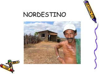 NORDESTINO 