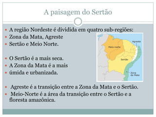 A paisagem do Sertão

 A região Nordeste é dividida em quatro sub-regiões:
 Zona da Mata, Agreste
 Sertão e Meio Norte.


 O Sertão é a mais seca.
 A Zona da Mata é a mais
 úmida e urbanizada.


 Agreste é a transição entre a Zona da Mata e o Sertão.
 Meio-Norte é a área da transição entre o Sertão e a
 floresta amazônica.
 