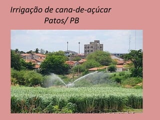 Irrigação de cana-de-açúcar  Patos/ PB 