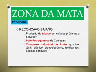 ZONA DA MATA 
ECONOMIA 
O RECÔNCAVO BAIANO: 
O Produção de tabaco em cidades próximas a 
Salvador; 
O Polo Petroquímico de Camaçari; 
O Complexo Industrial de Aratu: químico, 
têxtil, plástico, eletroeletrônico, fertilizantes, 
bebidas e móveis. 
 