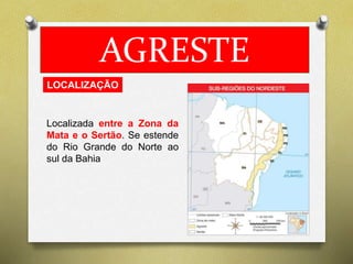AGRESTE 
LOCALIZAÇÃO 
Localizada entre a Zona da 
Mata e o Sertão. Se estende 
do Rio Grande do Norte ao 
sul da Bahia 
 