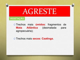 AGRESTE 
VEGETAÇÃO 
O Trechos mais úmidos: fragmentos de 
Mata Atlântica (desmatada para 
agropecuária); 
O Trechos mais secos: Caatinga. 
 