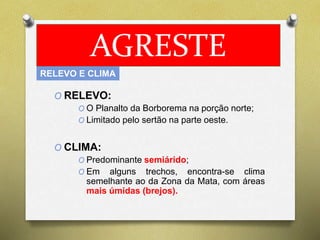 AGRESTE 
RELEVO E CLIMA 
O RELEVO: 
O O Planalto da Borborema na porção norte; 
O Limitado pelo sertão na parte oeste. 
O CLIMA: 
O Predominante semiárido; 
O Em alguns trechos, encontra-se clima 
semelhante ao da Zona da Mata, com áreas 
mais úmidas (brejos). 
 