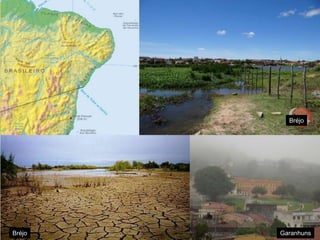 Bréjo 
Bréjo 
Garanhuns 
 