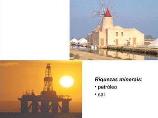 Riquezas minerais :  petróleo  sal  