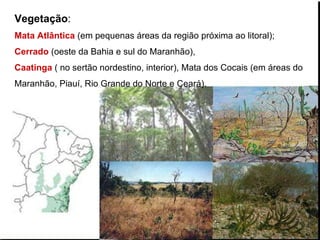 Vegetação :   Mata Atlântica  (em pequenas áreas da região próxima ao litoral);  Cerrado  (oeste da Bahia e sul do Maranhão),  Caatinga  ( no sertão nordestino, interior), Mata dos Cocais (em áreas do Maranhão, Piauí, Rio Grande do Norte e Ceará). 