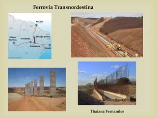 Thaiana Fernandes
Ferrovia Transnordestina
 