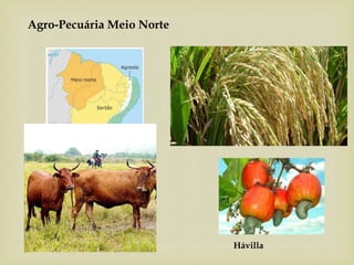 Agro-Pecuária Meio Norte
Hávilla
 