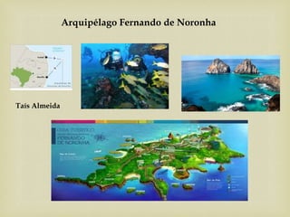 Arquipélago Fernando de Noronha
Taís Almeida
 