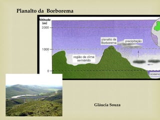 Planalto da Borborema
Gláucia Souza
 