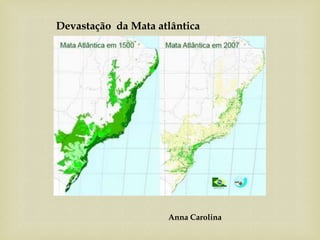 Anna Carolina
Devastação da Mata atlântica
 