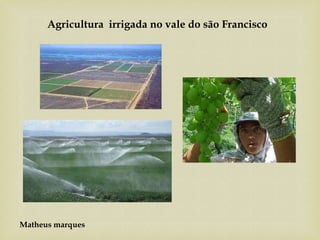 Matheus marques
Agricultura irrigada no vale do são Francisco
 
