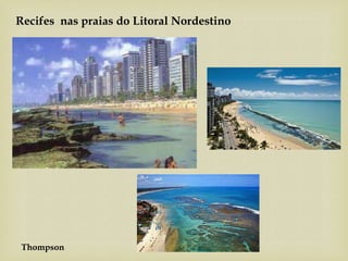 Recifes nas praias do Litoral Nordestino
Thompson
 