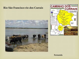 Rio São Francisco rio dos Currais
Fernanda
 