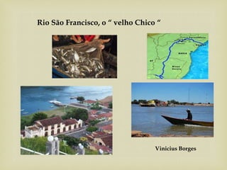 Rio São Francisco, o “ velho Chico “
Vinicius Borges
 