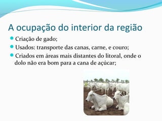 A ocupação do interior da região
Criação de gado;
Usados: transporte das canas, carne, e couro;
Criados em áreas mais distantes do litoral, onde o
dolo não era bom para a cana de açúcar;
 