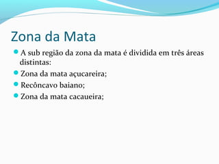 Zona da Mata
A sub região da zona da mata é dividida em três áreas
distintas:
Zona da mata açucareira;
Recôncavo baiano;
Zona da mata cacaueira;
 