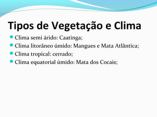 Tipos de Vegetação e Clima
Clima semi árido: Caatinga;
Clima litorâneo úmido: Mangues e Mata Atlântica;
Clima tropical: cerrado;
Clima equatorial úmido: Mata dos Cocais;
 