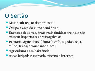 O Sertão
Maior sub região do nordeste;
Ocupa a área do clima semi árido;
Encostas de serras, áreas mais úmidas: brejos, onde
existem importantes áreas agrícolas;
Pecuária, agricultura ( frutas), café, algodão, soja,
milho, feijão, arroz e mandioca;
Agricultura de subsistência;
Áreas irrigadas: mercado externo e interno;
 