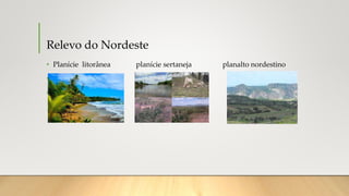 Relevo do Nordeste
• Planície litorânea planície sertaneja planalto nordestino
•
•
 
