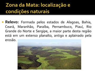  Relevo: Formada pelos estados de Alagoas, Bahia,
Ceará, Maranhão, Paraíba, Pernambuco, Piauí, Rio
Grande do Norte e Sergipe, a maior parte desta região
está em um extenso planalto, antigo e aplainado pela
erosão.
 