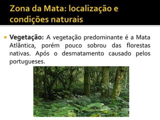  Vegetação: A vegetação predominante é a Mata
Atlântica, porém pouco sobrou das florestas
nativas. Após o desmatamento causado pelos
portugueses.
 