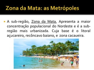  A sub-região, Zona da Mata, Apresenta a maior
concentração populacional do Nordeste e é a sub-
região mais urbanizada. Cuja base é o litoral
açucareiro, recôncavo baiano, e zona cacaueira.
 