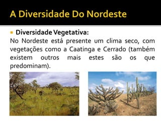 DiversidadeVegetativa:
No Nordeste está presente um clima seco, com
vegetações como a Caatinga e Cerrado (também
existem outros mais estes são os que
predominam).
 