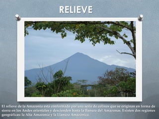 Region Oriental del Ecuador | PDF